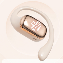 81837684
