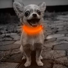 Candofly Reflective LED Dog Collar - Light Up Dog Collar USB Rechargeable Puppy Collar Nylon Dog Glow Collar Dog Lights for Night Walking & Camping (X-Small Orange)