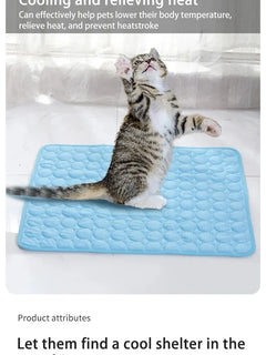 Pet Cooling Mat for Cats & Dogs – Ice Silk Summer Pad