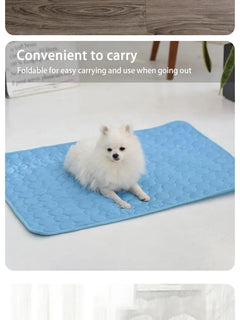 Pet Cooling Mat for Cats & Dogs – Ice Silk Summer Pad