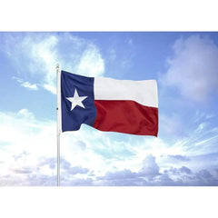 5x8 ft Heavy Duty 210D Nylon Outdoor Flag with Embroidered Star, Sewn Stripes, Canvas Color, Brass Grommets, 4-Stitch Hem